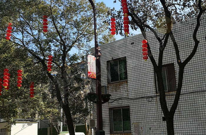 LED Light Pole Screen